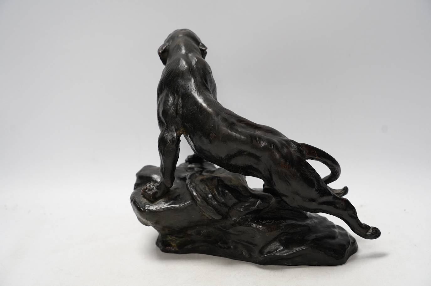 After Thomas Francois Cartier (1879-1943), bronze study of a roaring tiger, signed in the casting, 26cm wide. Condition - fair - tail has been detached and re-attached.